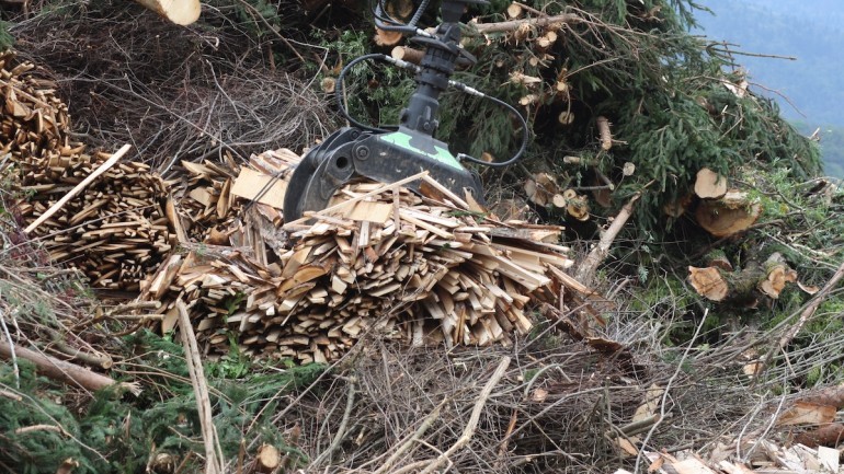 Produzione di biogas e biometano da biomasse residuali