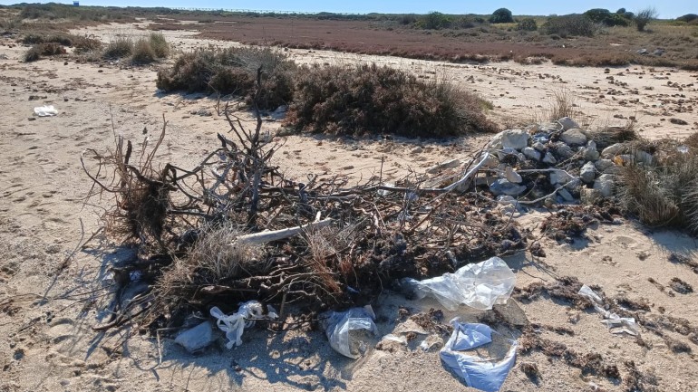 I-plastic: dati certi sull’inquinamento da microplastiche