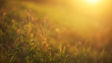 Da una molecola organica le celle solari del futuro