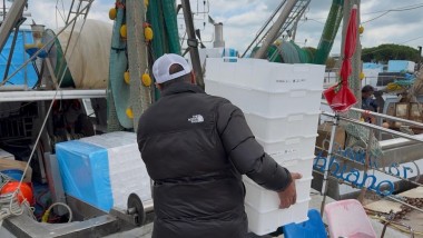 Meno polistirolo per un mare più pulito e in salute