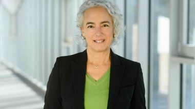 L’Italia nel progetto CDR di Gauss Fusion