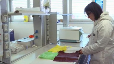 Pisa, lotta all’illegalità nelle bioplastiche