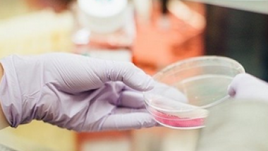 Lerochem amplia l’offerta e cresce in Europa