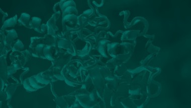 Pubblicato il report annuale The Molecule Manifesto